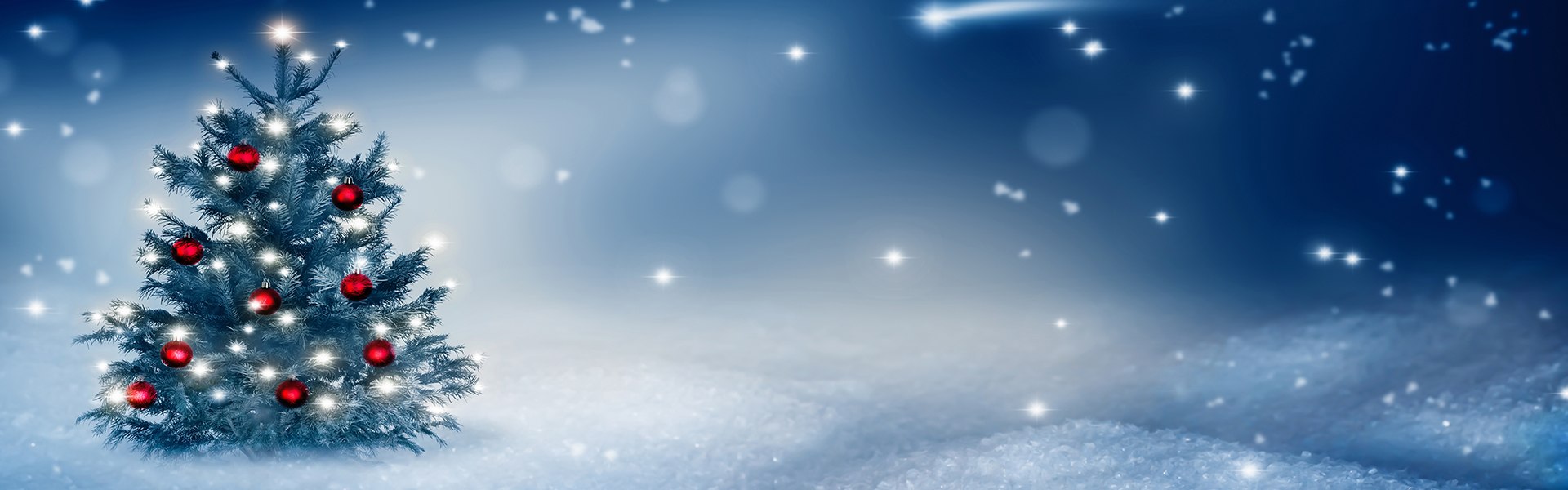 We will be closing Tuseday 23rd December & reopening on Friday 2nd January 2025, our last despatch day will be Thursday 18th December