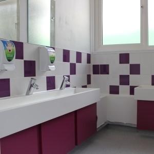image of Top 5 Benefits of Corian Wash Troughs